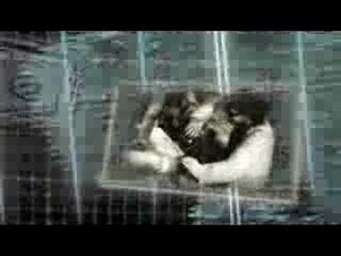 Pursuit Force Extreme Justice trailer