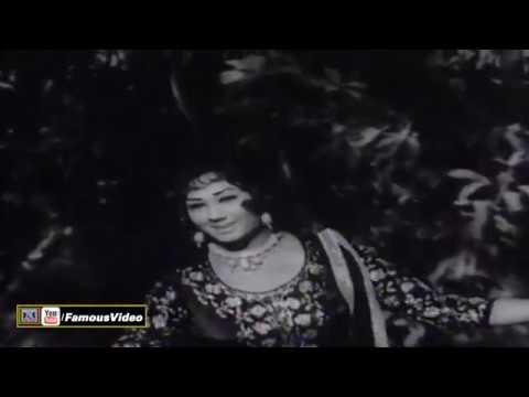 MAIN DES PUNJAB DI HEER ARIYE - NOOR JEHAN & IRENE PARVEEN - PAKISTANI FILM BASHIRA
