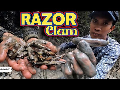 P1-RAZOR CLAM FORAGE AND COOK - EP1130