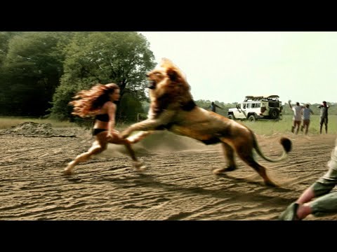 ネスト補助具を作成する際のよくある間違い 自然と動物