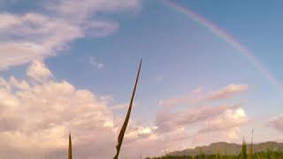 Download lagu Story wa lilakno lungaku (losskita) cover by didik budi feat. cindi cintya dewi mp3 Download lagu Story wa lilakno lungaku (losskita) cover by didik budi feat. cindi cintya dewi mp3