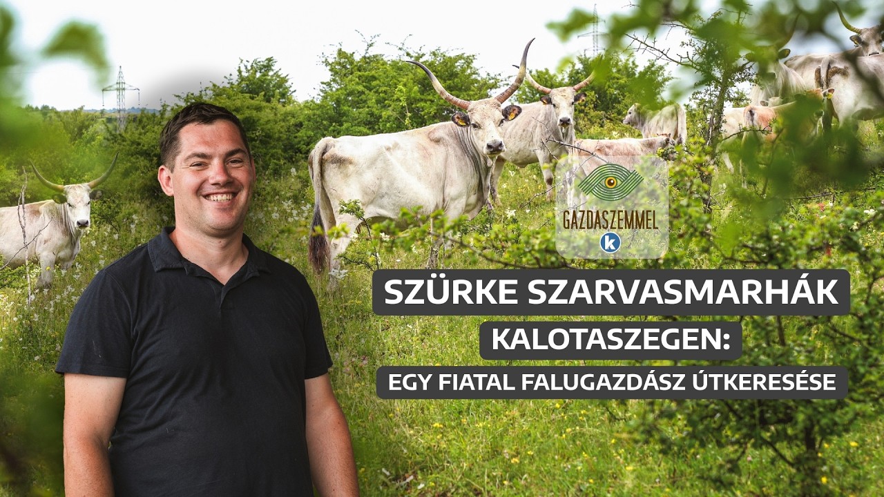 Családi gazdaságot építve egyszerre őrzi a hagyományokat és keresi a jövő útjait | Gazdaszemmel