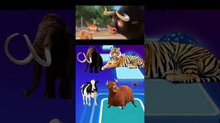 Funny Cow, Funny Tiger, Funny Mammoth, Funny Ferdinand - Coffin Dance #shorts #funnyanimals