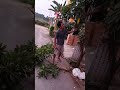 Nebang Pohon Mangga Di Depan Rumah Pak Ustad Jamaluddin M Pd I Donasimasjid
