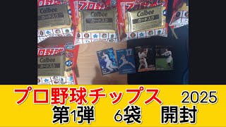 カルビー プロ野球チップス2025 第1弾 6袋　開封 - みづの廃信