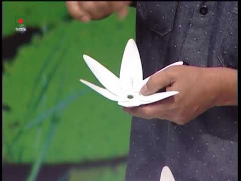 বিজয় ফুল