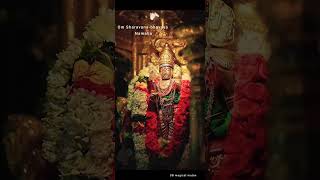 Download lagu Tiruchendur song status || Vetri vel || Muruga Status || SB Magical Mutes ||#devotionalsongs mp3