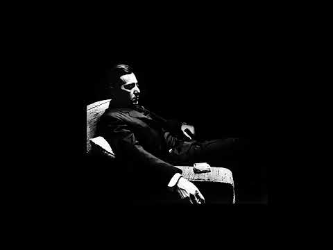 la lecon particuliere - slowed + reverb