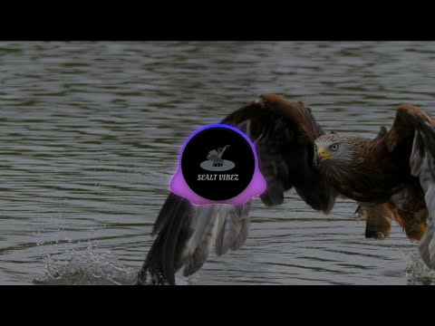 DJ Wellz ft. Illenium - Hold On [IslandChill ReMix]