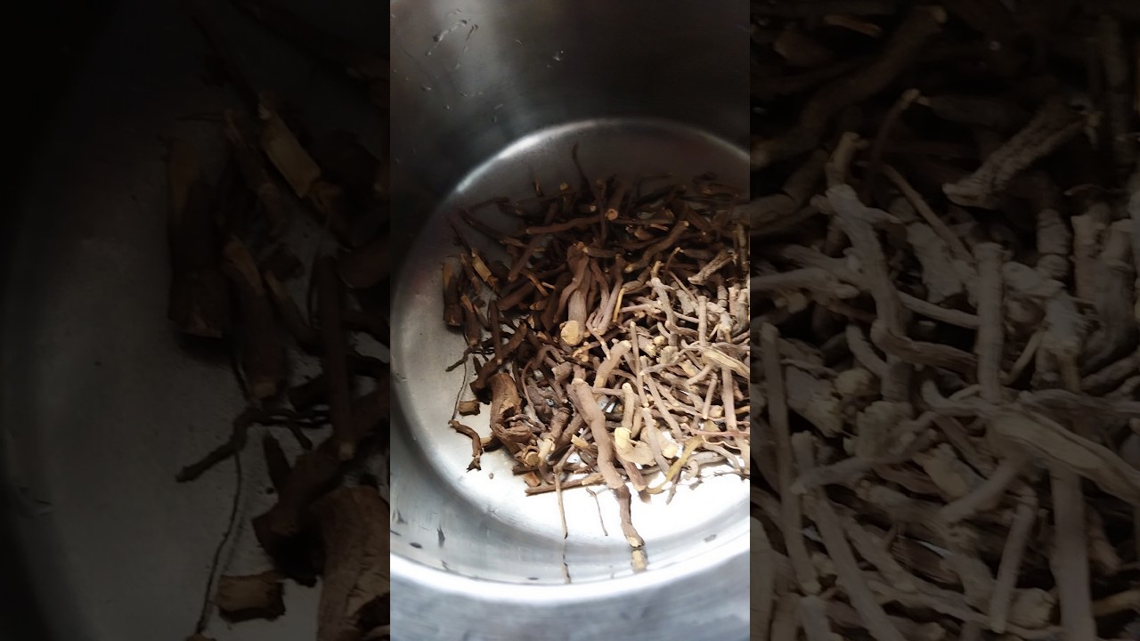 nannari root syrup preparation #juice #nannarisarbath #sarbath#shortsfeed #trending