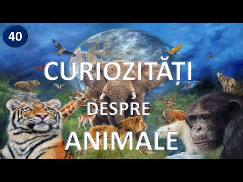 Top 40 curiozitati despre animalele lumii 🦋 stiati ca?