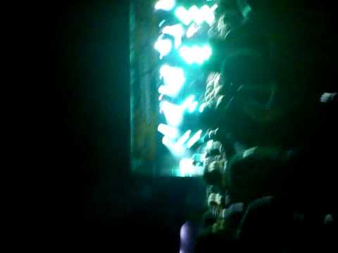 Amager Beach Party 2011