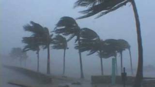 Hurricane Wilma Video - Miami Beach, Florida