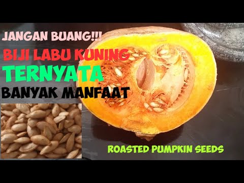 , title : 'Cara Membuat Kwaci Biji Labu Kuning | How To Make Roasted Pumpkin Seeds | Zat Dalam Biji Labu Kuning'