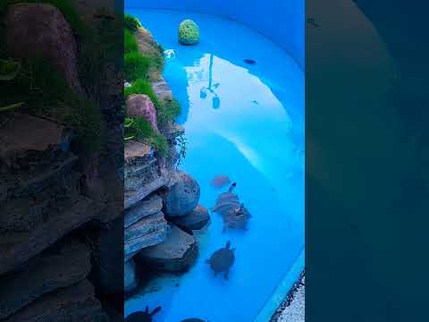 Parque de Jiquilisco, Usulutan 🇸🇻#elsalvadortravel #503 #salvadoreña