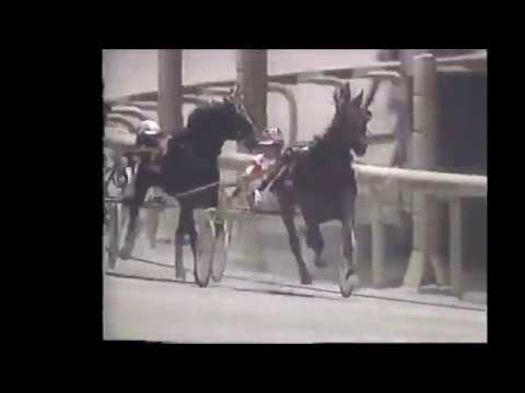 1993 Mohawk Raceway EARL Chris Christoforou Breeders Crown Open Trot