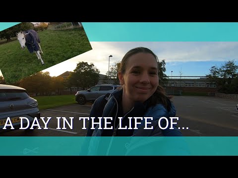 The work, life, horses balance - Vlog 299 - Beth Endurance