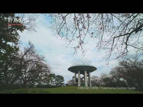 野島公園