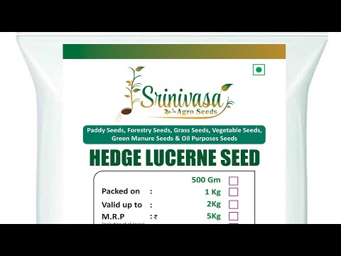 Hedge Lucern / Velimasal Seeds