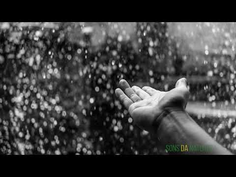 Chuva leve sem trovões para relaxar, dormir ou estudar 3 horas | Rain to sleep, study 3 hours.