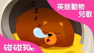Hibernation Song | 英語動物兒歌 | 碰碰狐！兒童兒歌