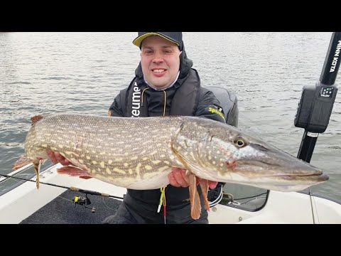 Vinkit hauenkalastukseen - Hauenkalastus Saaristomerellä - Kevään isot hauet syvistä vesistä