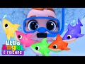 15 MIN LOOP Rainbow Color Baby Sharks Bath Song Little Angel And Friends Kid Songs