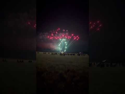 500 shot new color blooming double z