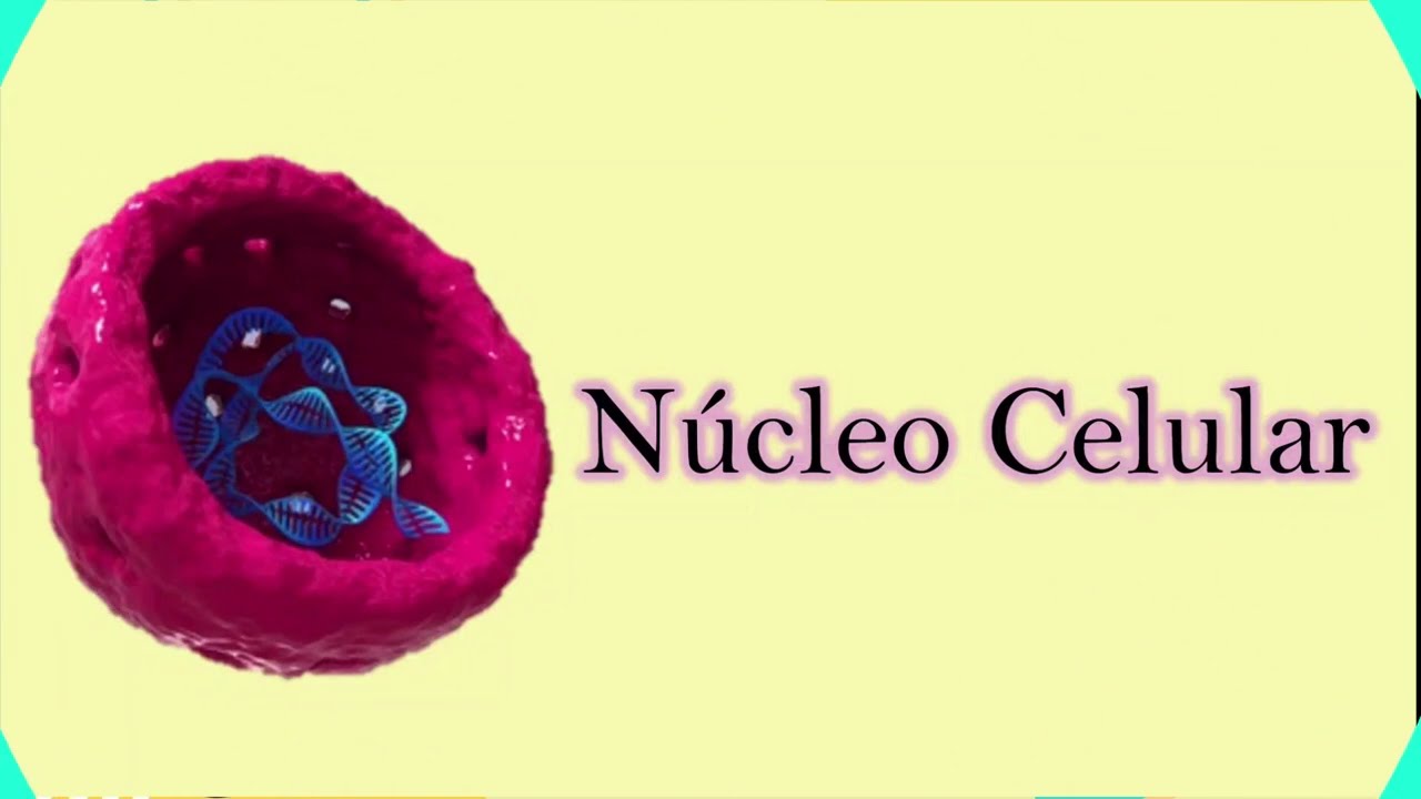 Núcleo celular