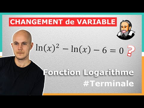 ÉQUATION avec ln(x) et CHANGEMENT de VARIABLE - Exercice Corrigé - Terminale