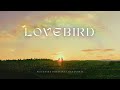 Lovebird Valentine S Special Priyanshu Bhartiya X BAD Junkie Official Lyrical Video