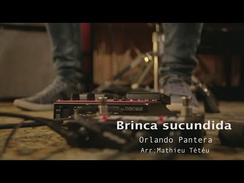 Brinca sucundida video