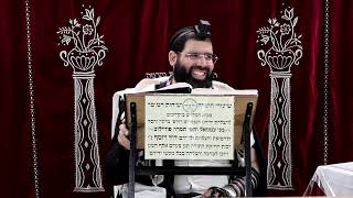 זבחים דף מ"ב ע''א ¤ הרב נתנאל אברז'ל ¤ בית הכנסת "בית מרדכי" (מוסדות תורת דוד) - התמונה מוצגת ישירות מתוך אתר האינטרנט יוטיוב. זכויות היוצרים בתמונה שייכות ליוצרה. קישור קרדיט למקור התוכן נמצא בתוך דף הסרטון