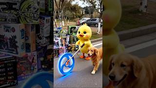 Got a new hoop rolling toy! Duck heads home with Golden Retriever, races with boy in yard#duck
