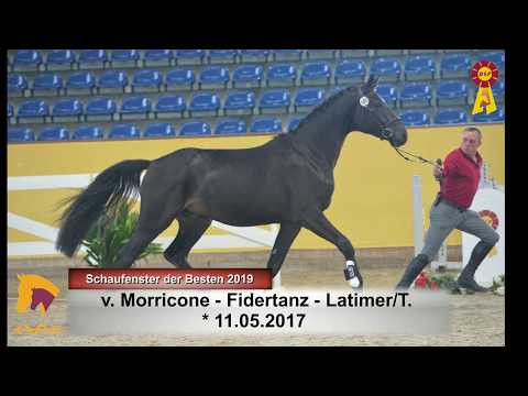 18 Morricone - Fidertanz