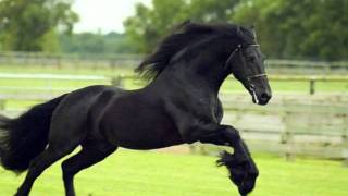 El cantador - Vicente Fernandez