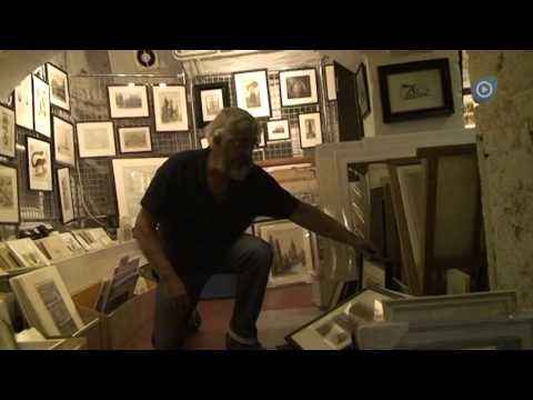 Het Antiquariaat: De Kameleon