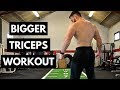 Triceps Mass Building Bodyweight Home Workout (NO EQUIPMENT NEEDED!)