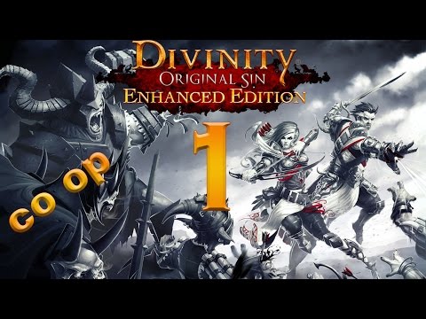 Steam Community :: Video :: Divinity Original Sin Enhanced Edition coop ...