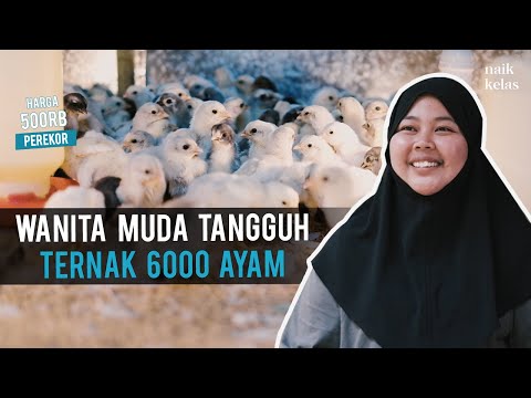 Wanita Muda 27 Tahun Sukses Ternak Ayam Kampung Sentul, Omzet Tembus 40 Juta Perbulan