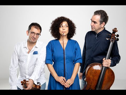 Beethoven Schoenberg Brahms Trio Melikyan Haroutunian Hakhnazaryan live in Yerevan