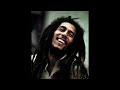 Bob Marley - No sympathy