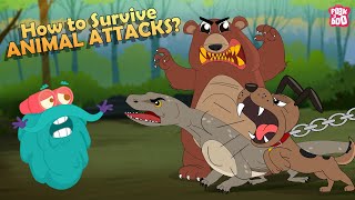 How to Survive Animal Attacks - Bear, Dog, Shark, Komodo Dragon & Giant Squid | The Dr. Binocs Show