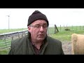 renewable energy scotland - Image 2