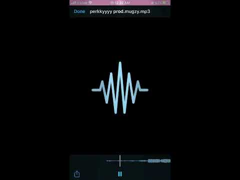 Perky- BigNettz ft. SalsaLino