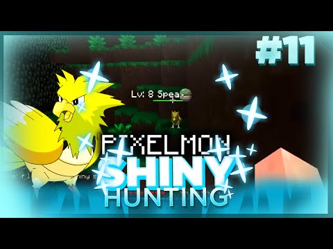 EPIC SHINY SPEAROW!! Live Reaction! Pixelmon Minecraft Shiny Pokemon! #11