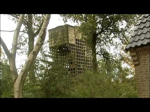 Rondom de Gemeentegrenzen - Westerbeek