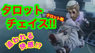 【第五人格 ゲーム実況】【タロット】面白いへっぽこプレイ【アイデンティティファイブ】【IdentityV】キングちきん‼︎ 野人&ミニ白黒。