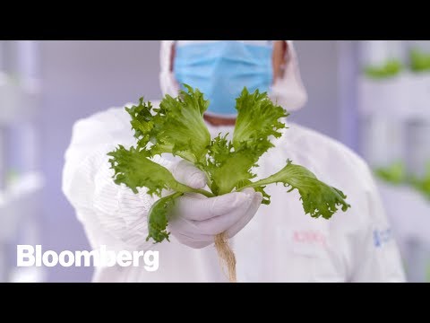 How To Feed 10 Billion People