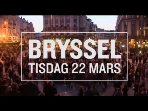 Minidokumentär: Terrorattackerna i Bryssel
